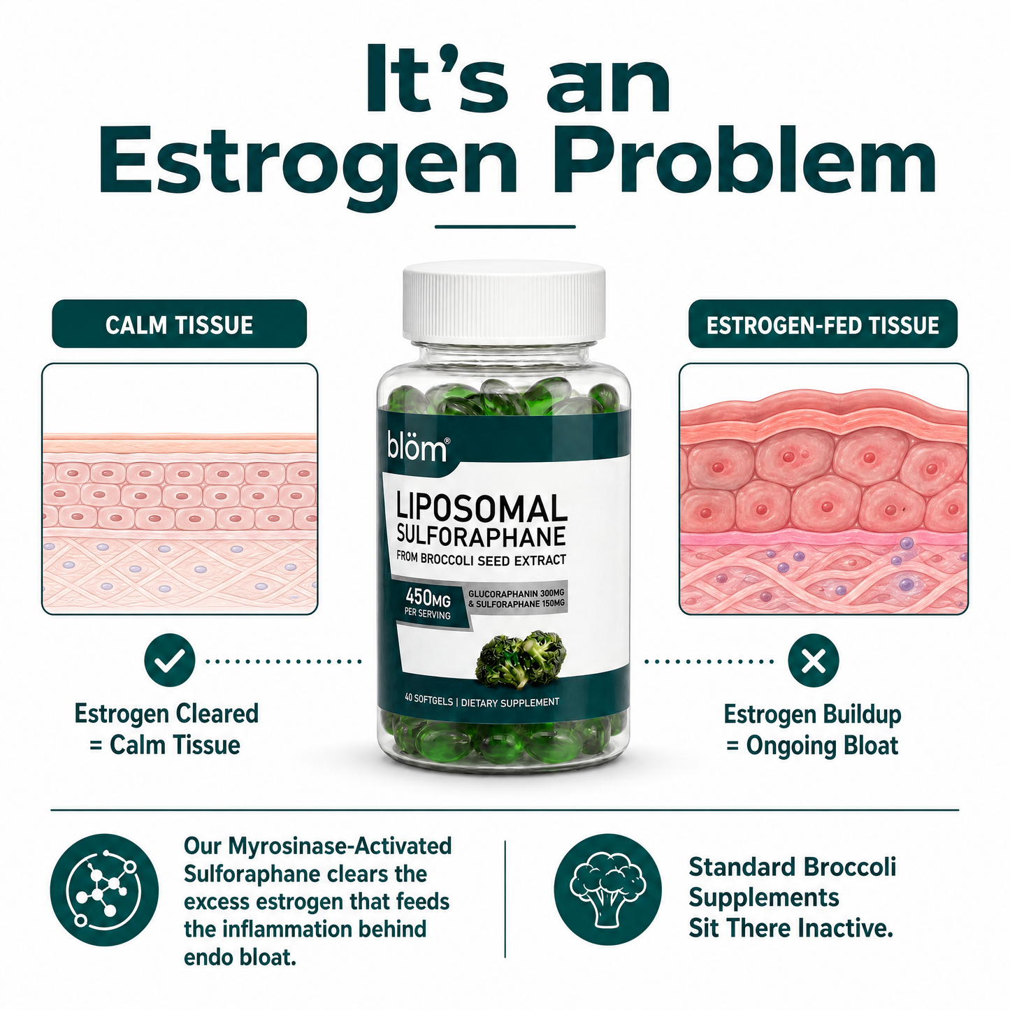 Sulforaphane Broccoli Extract Capsules